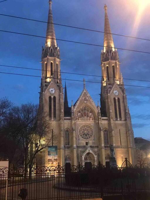 Perfect Location,Newly Decorated Modern, Large Place 60 M2, Really Quiet So You Can Have A Good Night Sleep, Ac, Netflix, Smart Tv, High-Speed Internet, World Famous New York Cafe Only 10 Minutes Walk Budapest Exteriör bild